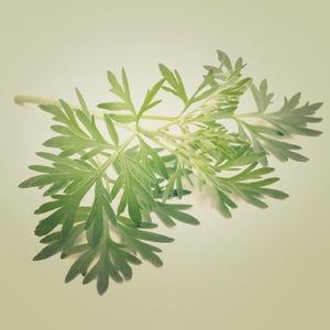 Artisan Garden Themed Decor, Jewelry, Cards & More